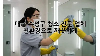 대구 수성구 청소 전문 업체 ✨ 친환경으로 깨끗하게!