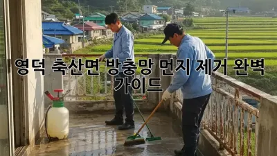 영덕 축산면 방충망 먼지 제거 완벽 가이드