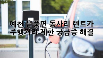 예천 은풍면 동사리 렌트카 주행거리 제한? 궁금증 해결!